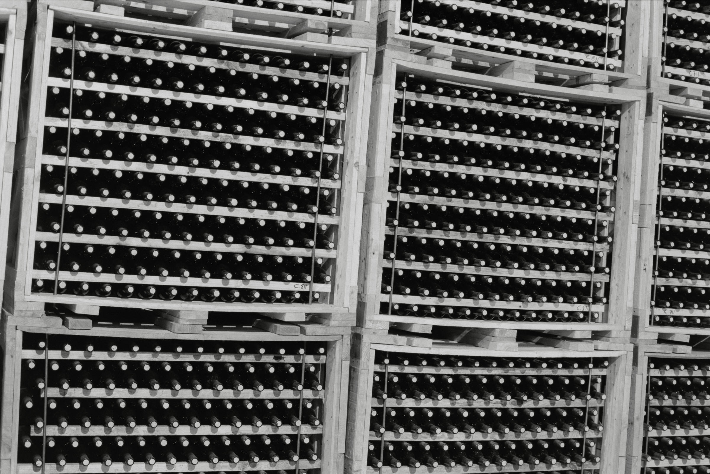 AHP F1995 05 007 sc240826 img15 NLP